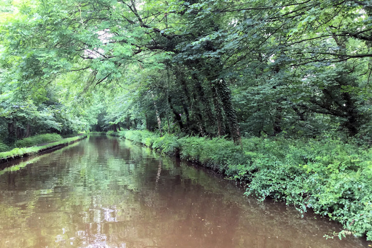 Near Ellesmere photograph